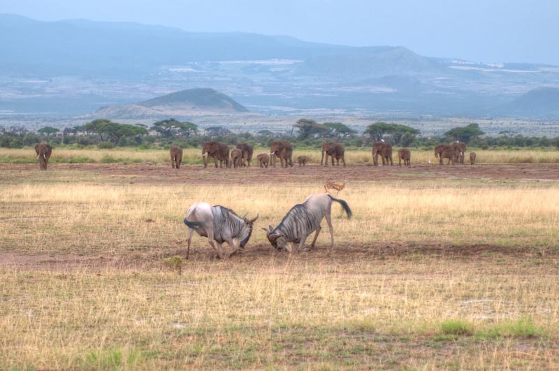 kenya_2012_KEN_1613_hdr